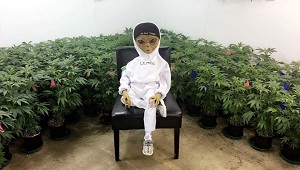 Avatar de Usuario